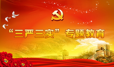 三严三实